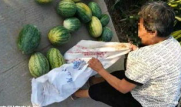 莱芜吃瓜最新事件爆料,最新爆料揭秘惊人内幕